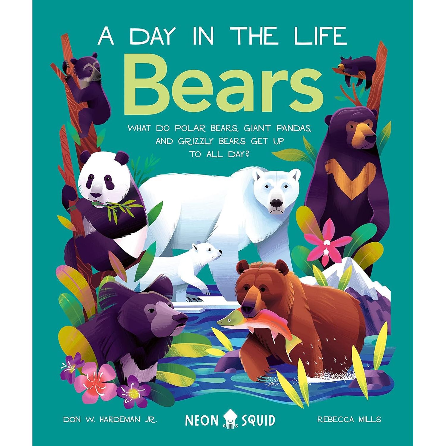 Bears (A Day in the Life)
