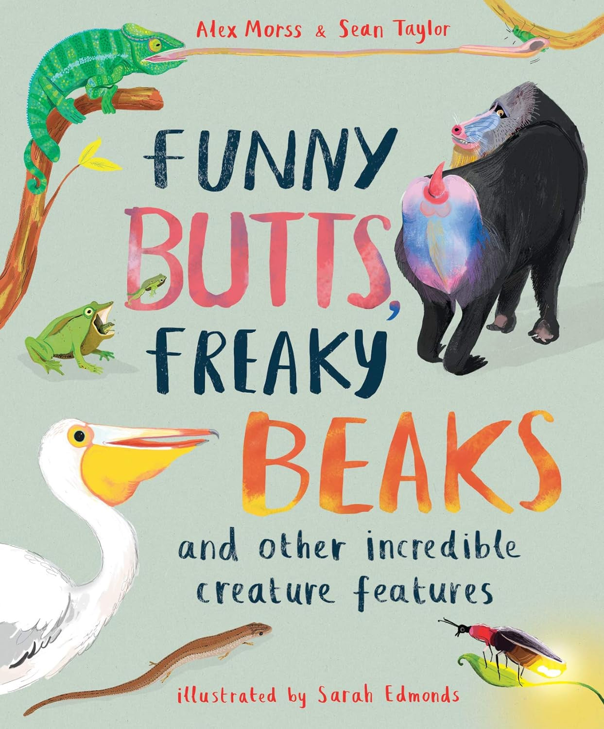 Funny Butts, Freaky Beaks and Other Incredible Creature Features