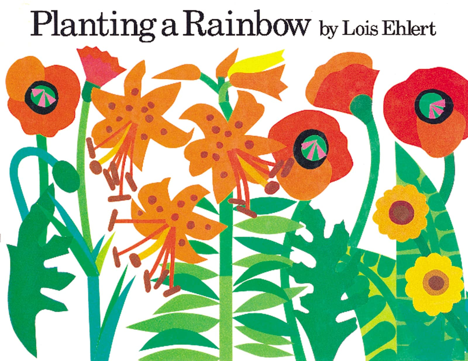 Planting a Rainbow (board book)